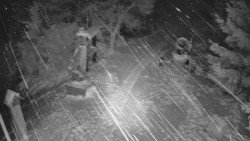 Bílá - běžecká trať