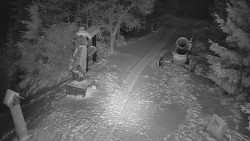 Bílá - běžecká trať