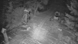 Bílá - běžecká trať