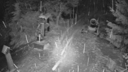 Bílá - běžecká trať