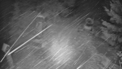 Bílá - běžecká trať