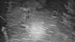 Bílá - běžecká trať