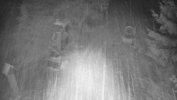 Bílá - běžecká trať