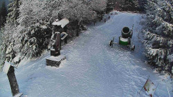 Bílá - běžecká trať