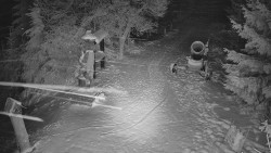 Bílá - běžecká trať