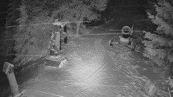 Bílá - běžecká trať