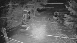 Bílá - běžecká trať