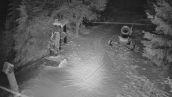 Bílá - běžecká trať