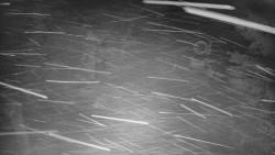 Bílá - běžecká trať