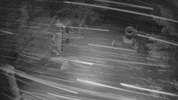 Bílá - běžecká trať