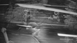 Bílá - běžecká trať