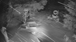 Bílá - běžecká trať