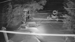 Bílá - běžecká trať