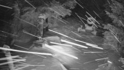 Bílá - běžecká trať