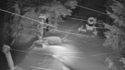 Bílá - běžecká trať