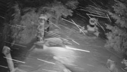 Bílá - běžecká trať