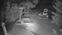 Bílá - běžecká trať