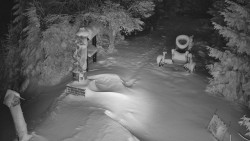 Bílá - běžecká trať