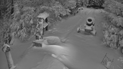 Bílá - běžecká trať