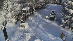 Bílá - běžecká trať