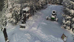 Bílá - běžecká trať