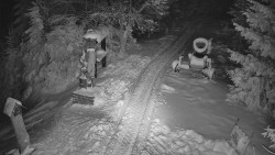 Bílá - běžecká trať