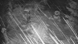 Bílá - běžecká trať