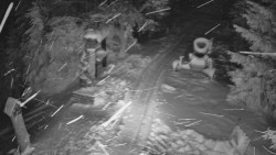 Bílá - běžecká trať