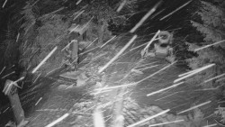 Bílá - běžecká trať