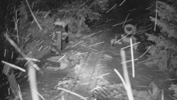 Bílá - běžecká trať