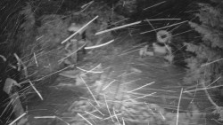 Bílá - běžecká trať