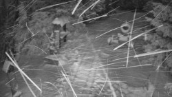 Bílá - běžecká trať