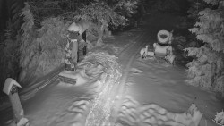 Bílá - běžecká trať