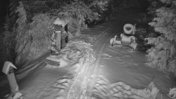 Bílá - běžecká trať