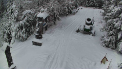 Bílá - běžecká trať