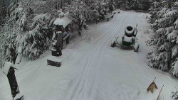 Bílá - běžecká trať