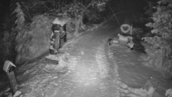 Bílá - běžecká trať