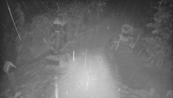 Bílá - běžecká trať