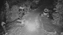 Bílá - běžecká trať