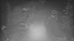 Bílá - běžecká trať