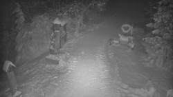 Bílá - běžecká trať