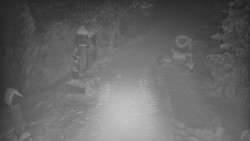 Bílá - běžecká trať