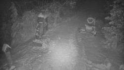 Bílá - běžecká trať