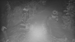 Bílá - běžecká trať