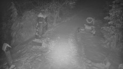 Bílá - běžecká trať