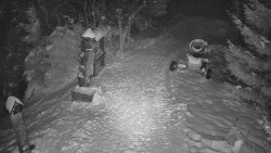 Bílá - běžecká trať