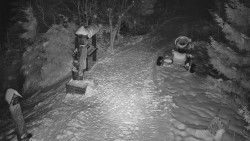 Bílá - běžecká trať