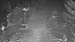 Bílá - běžecká trať