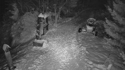 Bílá - běžecká trať