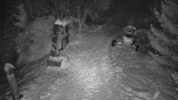 Bílá - běžecká trať